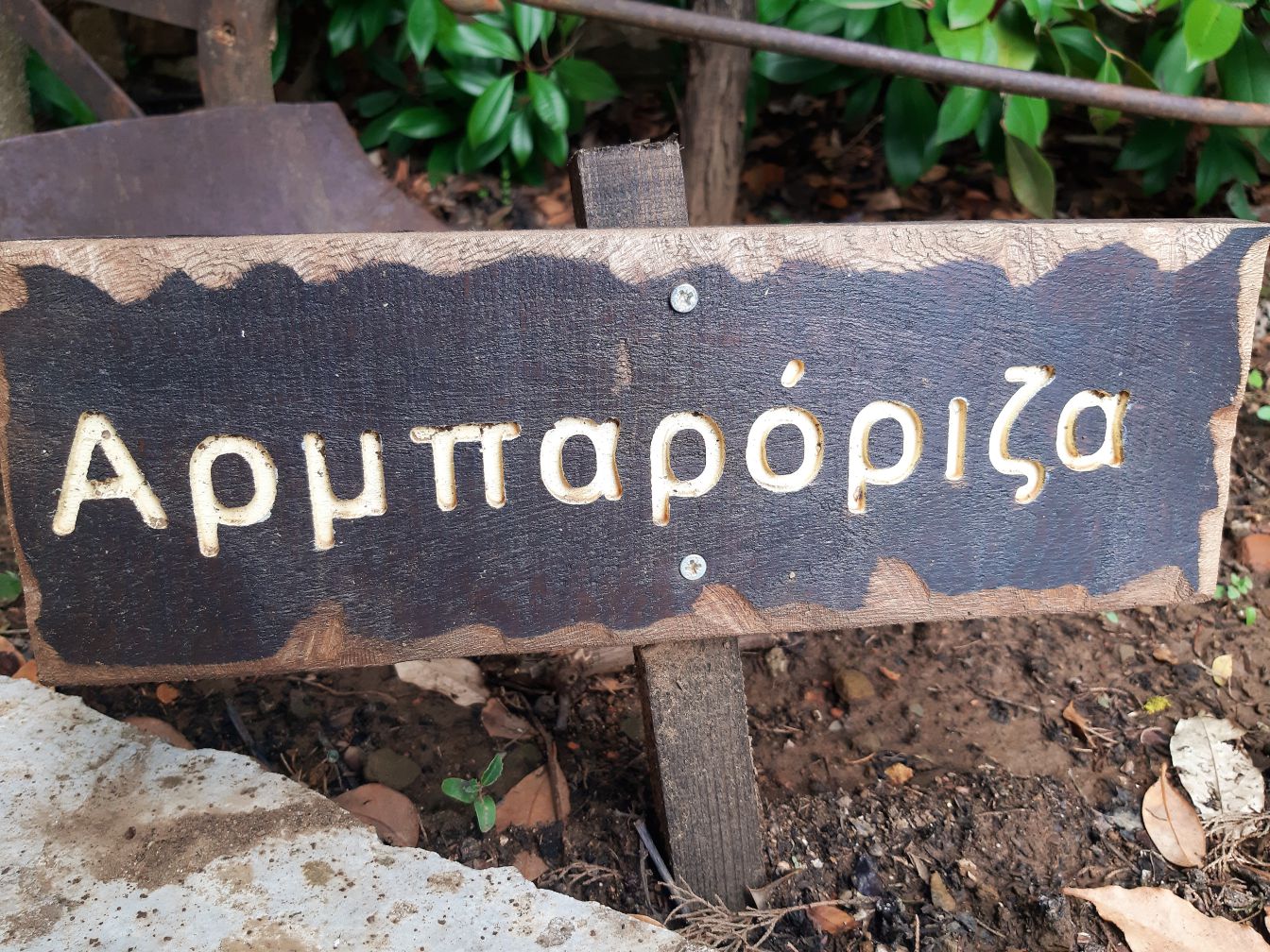 Theme